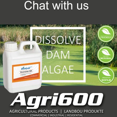 Chat with us algae