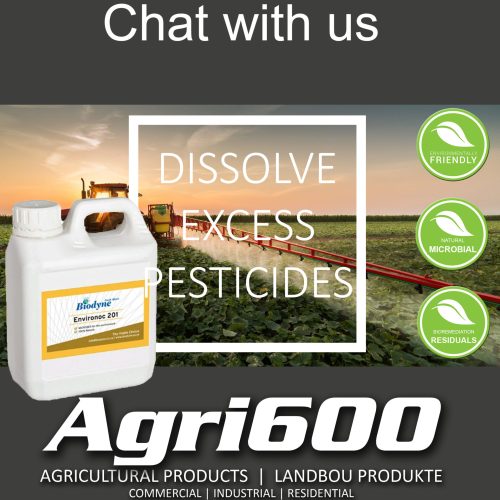 Chat with us gif